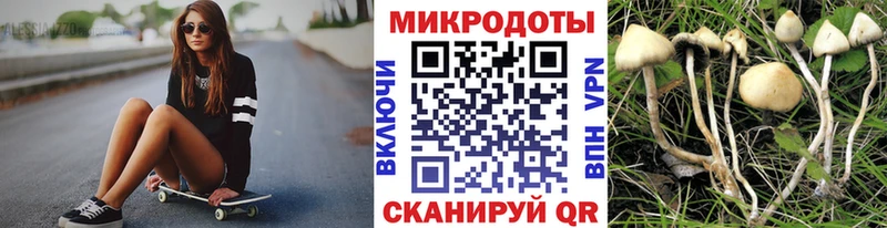 где купить наркоту  ОМГ ОМГ онион  Галлюциногенные грибы мицелий  Долинск 